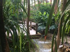 -南宫温泉水世界