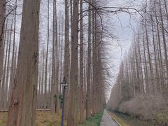 -上海怡沁园度假酒店