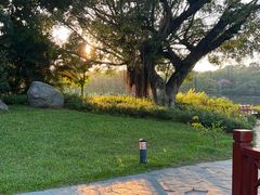 -东莞植物园
