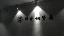 -柯宏＆雅婷塑形钢管舞蹈