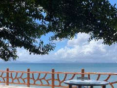 -七鲜渔港美食餐厅(巽寮湾海景店)