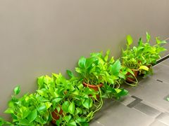 -耳妃躺式采耳SPA馆