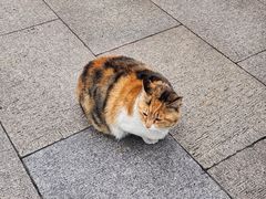 -西园寺