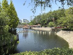 -北岭山森林公园