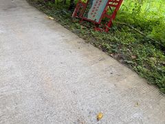 -牛角寨瀑布群景区