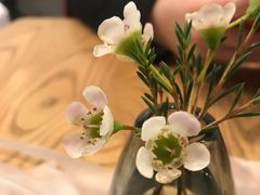 -gaga(深圳南山益田假日广场店)