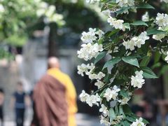 -潭柘寺景区