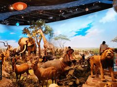 -陕西自然博物馆