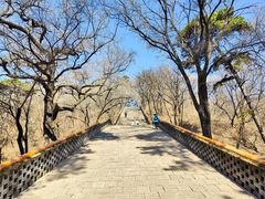 -沈阳市东陵公园