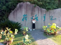 -荷塘月色湿地公园·向阳花洲
