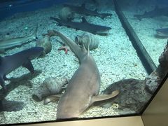 -福州罗源湾海洋世界旅游区