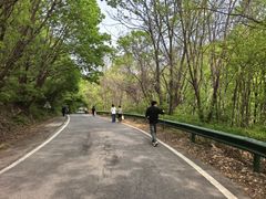 -三块石国家森林公园