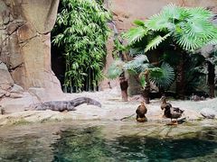 -上海海洋水族馆