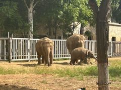 -石家庄市动物园