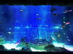 -沈阳海洋探索中心