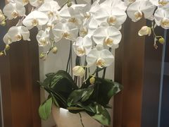 店内布置-Peet's Coffee皮爷咖啡(豫园店)