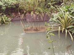 android_upload_pic-河川生态园