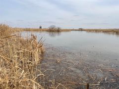 -盐城丹顶鹤湿地生态旅游区