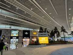 -青岛胶东国际机场