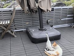 -前叁門