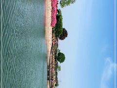 -上海辰山植物园