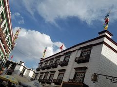 -古树酸奶(八廓南街店)