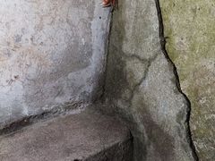 -奉贤海滩