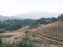 -福建土楼(南靖)景区