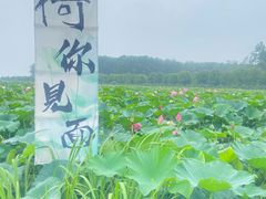 -渌洋湖湿地公园
