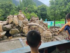 -西安秦岭野生动物园