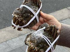 -品鲜村农家菜·阳澄湖大闸蟹(总店)