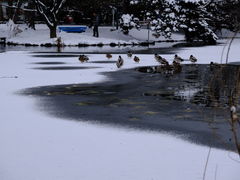 -札幌电视塔