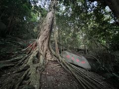 -七仙岭温泉国家森林公园