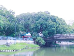 -屯门公园