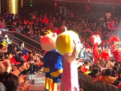 -珠海横琴长隆《卡卡虎奇遇记》