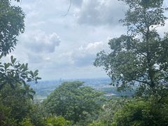 -火炉山森林公园