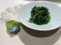 -西郊5号·Maggie 5