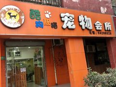 -酷狗靓猫宠物·洗护·美容·寄养(航北路店)