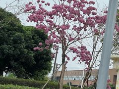 -牙山果园·烧烤野炊·钓鱼团建·烤全羊