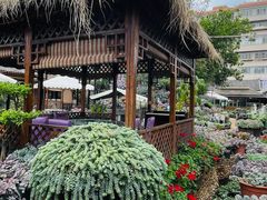 -山菌美食苑(振兴路店)