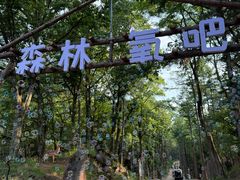 -洛阳白云山景区