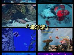 -北京海洋馆