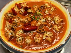 辣椒酒啫花螺-金龙·打边炉(武进路店)