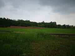 -白鹭湾湿地公园