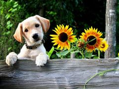 -兰剑驾校(汉阳校区)