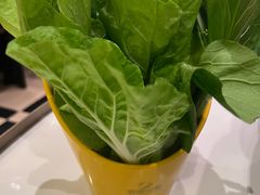 油麦菜-润园四季椰子鸡火锅(卓越INTOWN店)