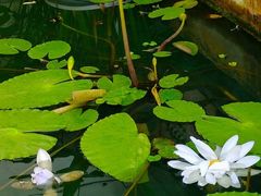 -国家植物园南园