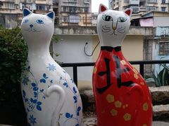 -猫咪博物馆(顶澳仔猫街店)