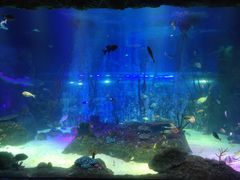 -沈阳海洋探索中心