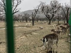 -西安秦岭野生动物园